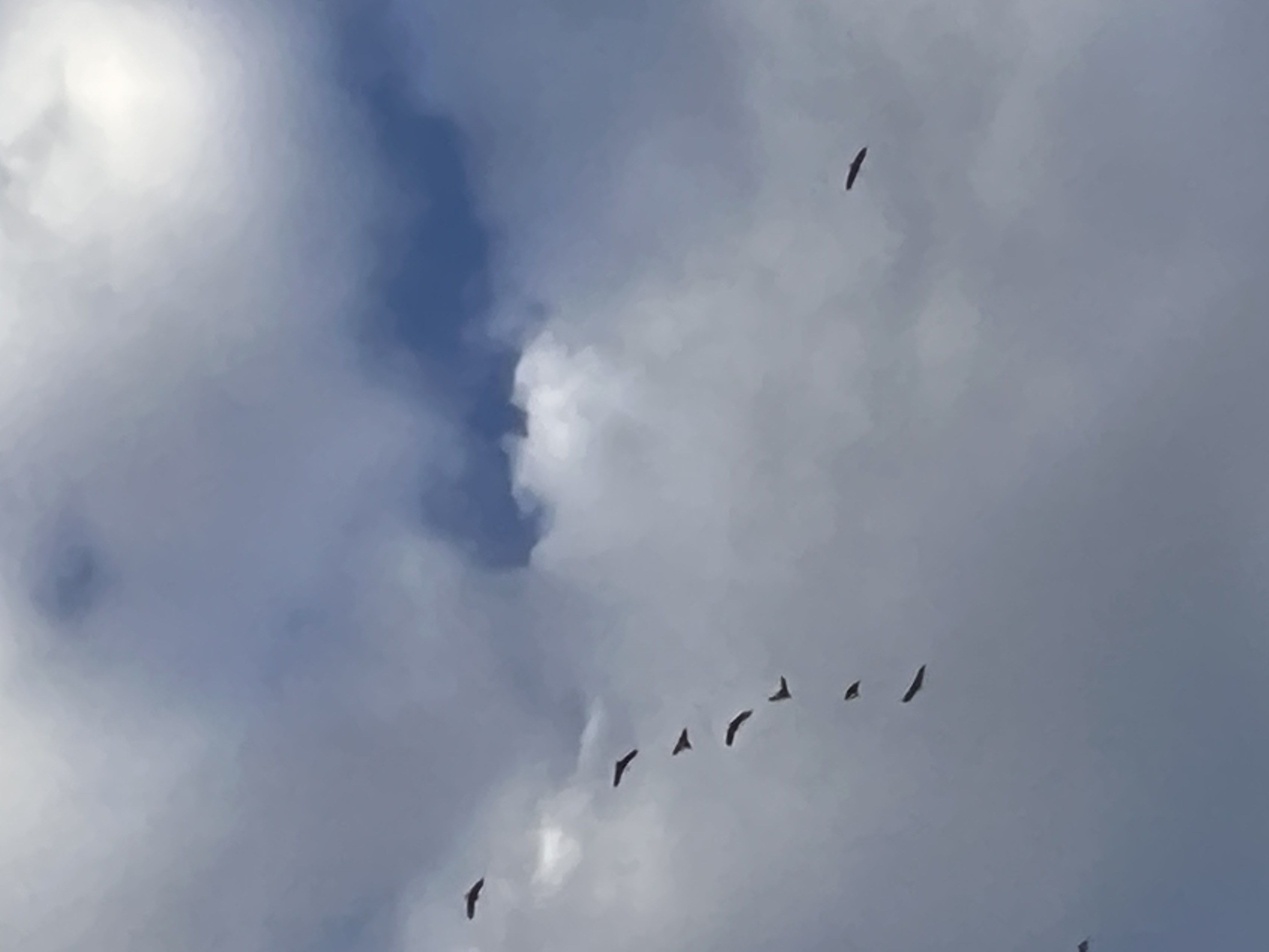 ./2023/01 - New Bern/IMG_6131.JPG